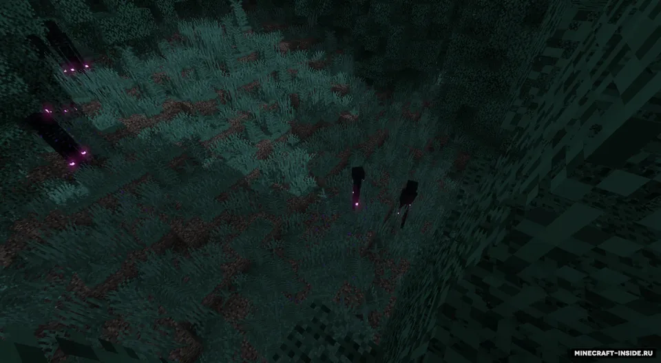 Endermen 404 — Minecraft resurs pak, rasm 5