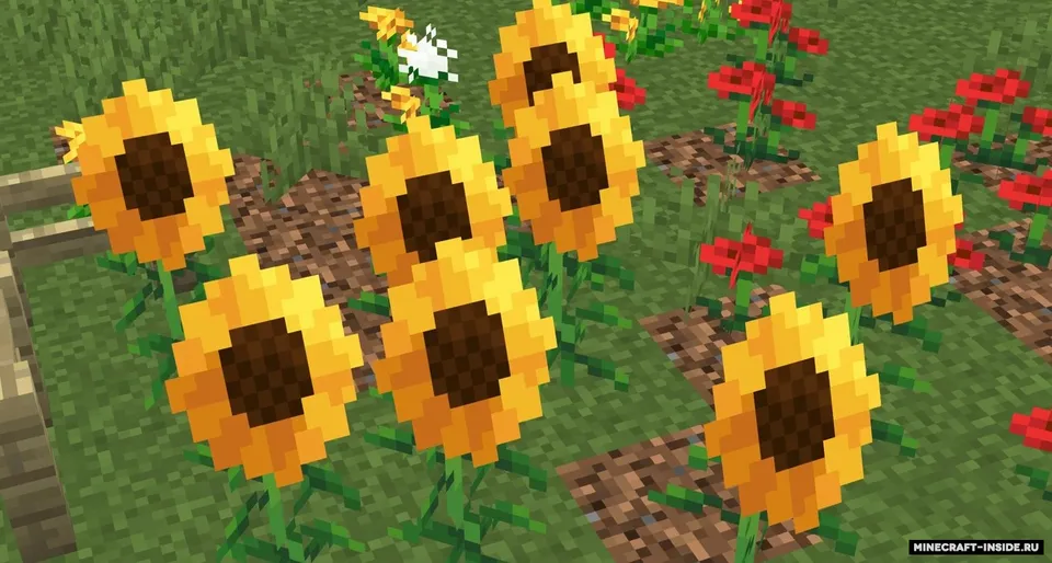 Taco's Vanilla+ — Minecraft resurs pak, rasm 6