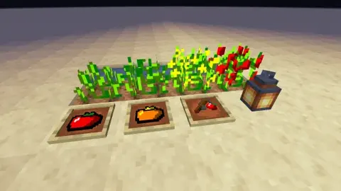 TomatoPack