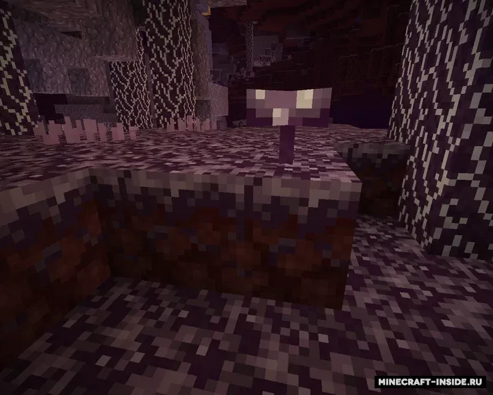 Xorus o'rmoni — Minecraft resurs pak, rasm 3