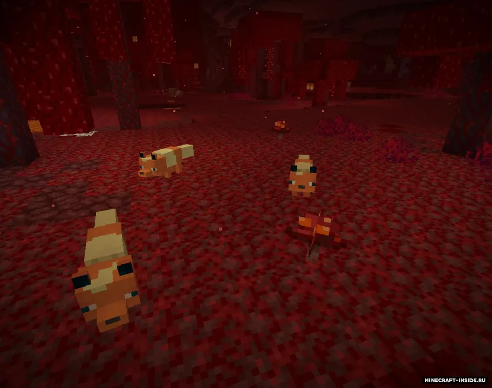 Eevee Foxes — Minecraft resurs pak, rasm 5