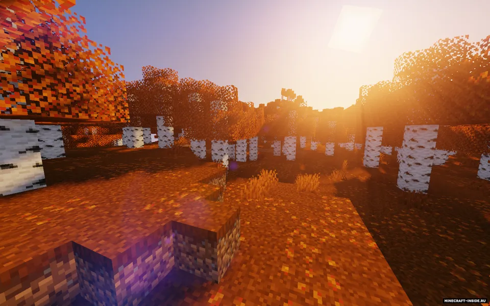 Autumn Birch — Minecraft resurs pak, rasm 4