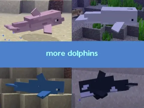 More dolphins varities