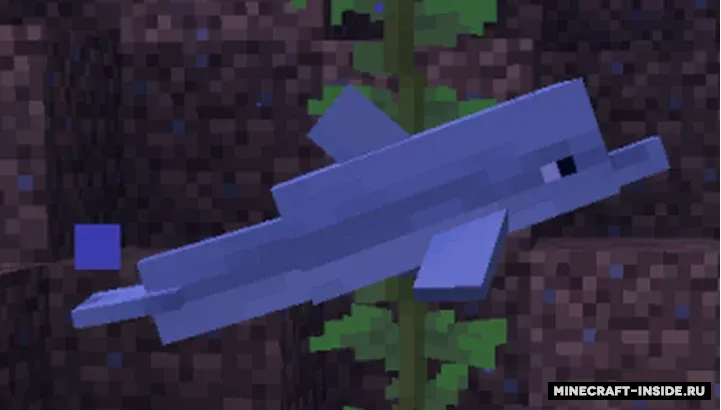 More dolphins varities — Minecraft resurs pak, rasm 2