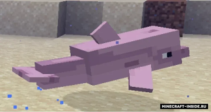 More dolphins varities — Minecraft resurs pak, rasm 3