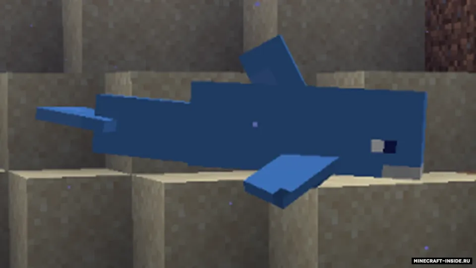 More dolphins varities — Minecraft resurs pak, rasm 5