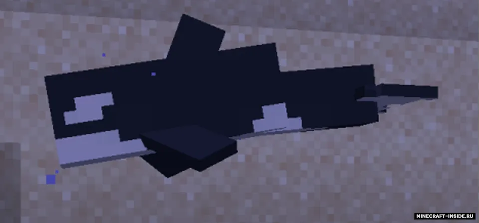 More dolphins varities — Minecraft resurs pak, rasm 6
