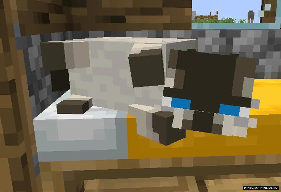 Fat Cat — Minecraft resurs pak, rasm 2