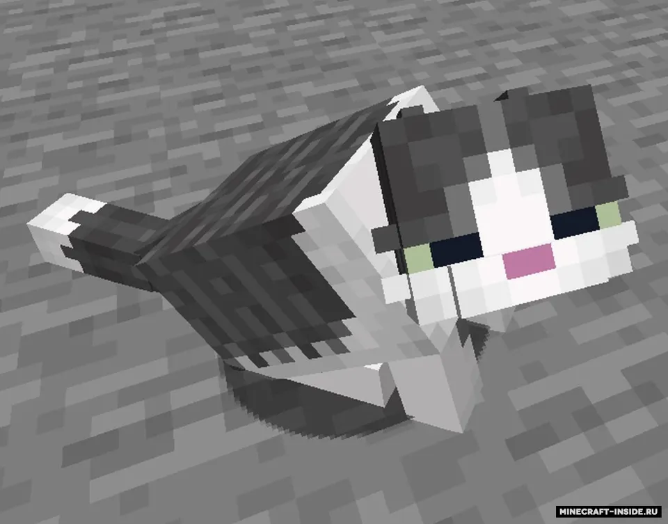 Fat Cat — Minecraft resurs pak, rasm 3
