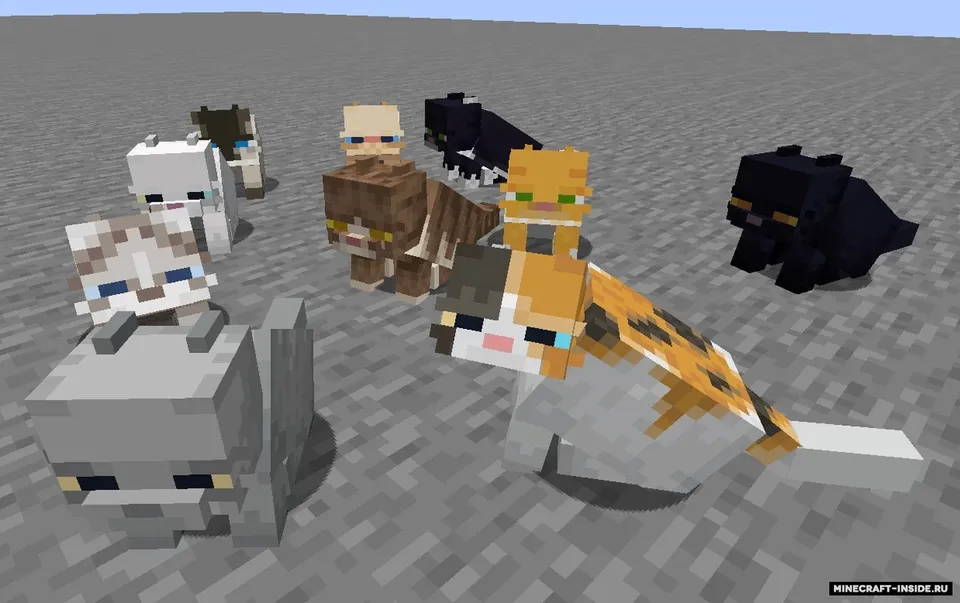 Fat Cat — Minecraft resurs pak, rasm 4
