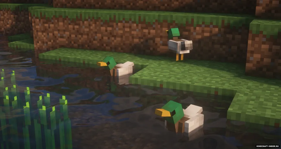 Mallards — Minecraft resurs pak, rasm 2