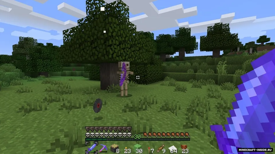 Legend — Minecraft resurs pak, rasm 3