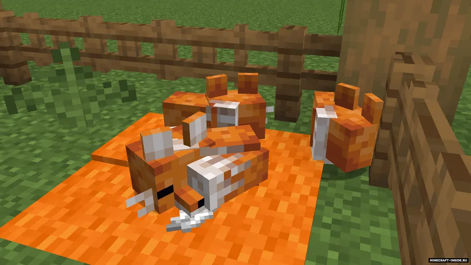 Hatson's Foxes — Minecraft resurs pak, rasm 4
