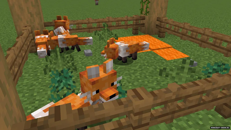 Hatson's Foxes — Minecraft resurs pak, rasm 5