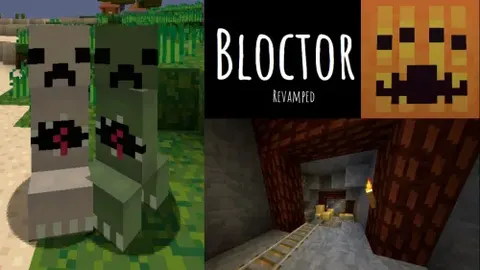 Bloctor