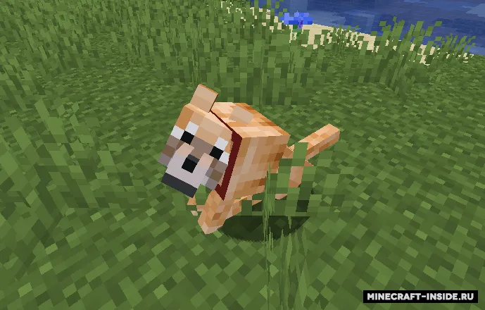 Packommunity — Minecraft resurs pak, rasm 4