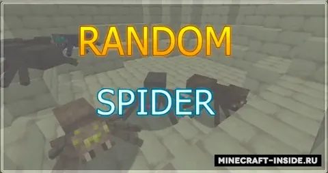 RandomSpider