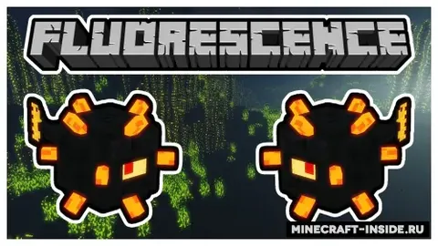 Fluorescence