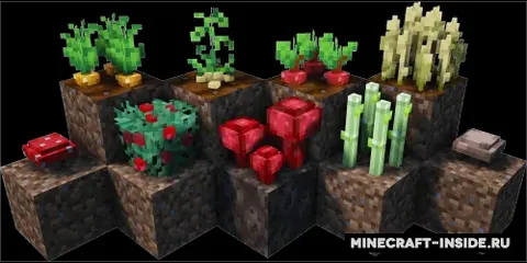 Crops 3D
