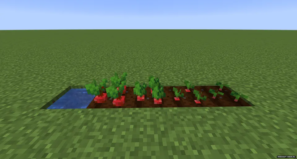 Crops 3D — Minecraft resurs pak, rasm 2