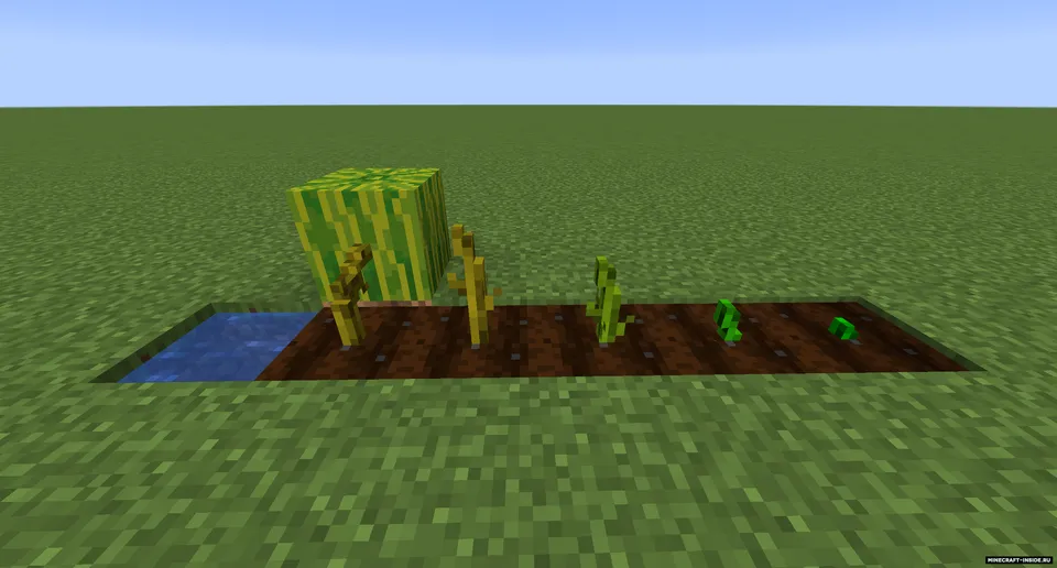 Crops 3D — Minecraft resurs pak, rasm 5