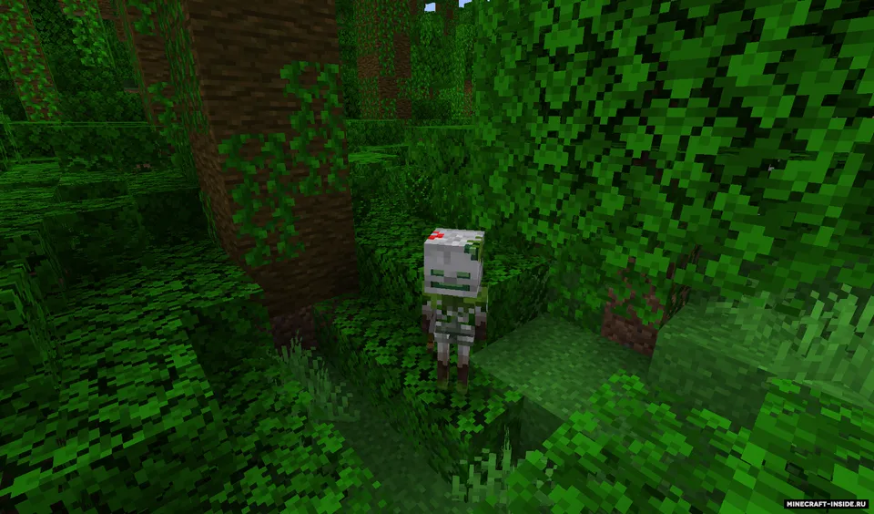 Pablo's Biome Skeletons — Minecraft resurs pak, rasm 4