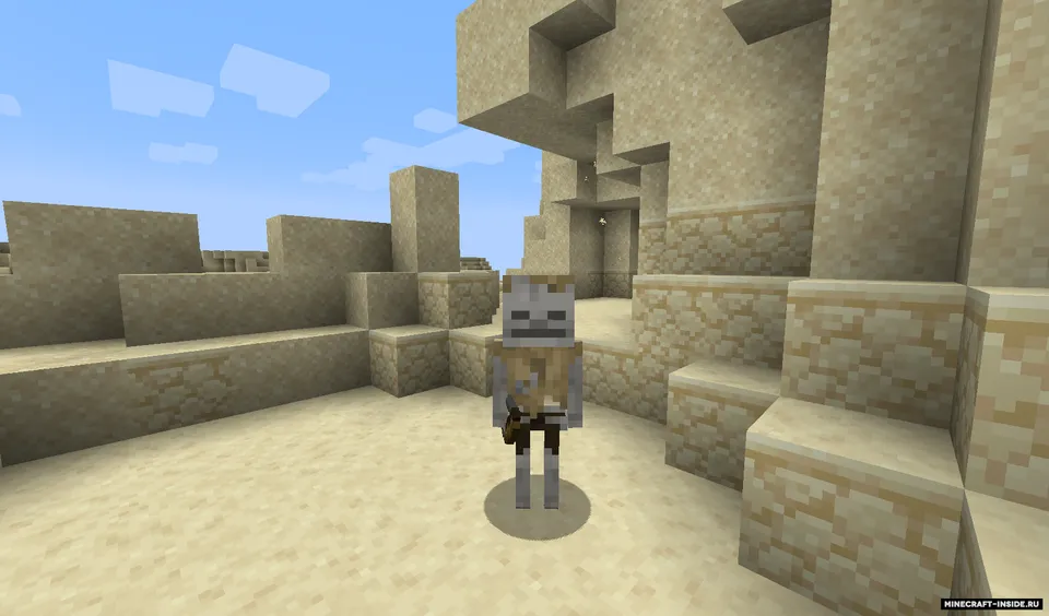 Pablo's Biome Skeletons — Minecraft resurs pak, rasm 5