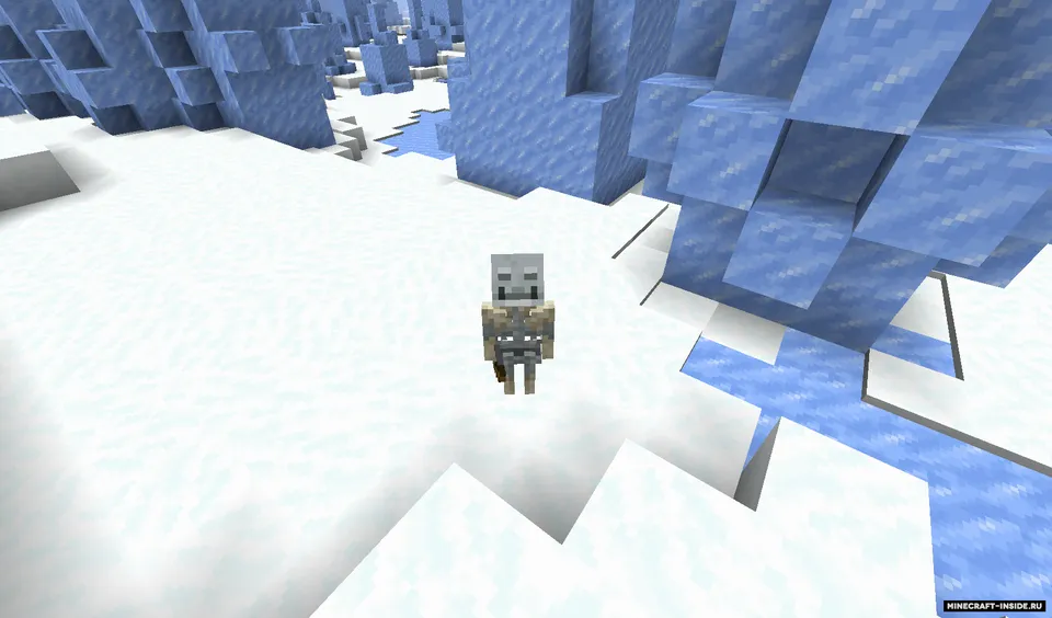 Pablo's Biome Skeletons — Minecraft resurs pak, rasm 6