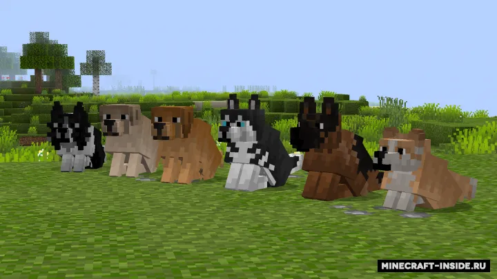 Better Dogs — Minecraft resurs pak, rasm 2
