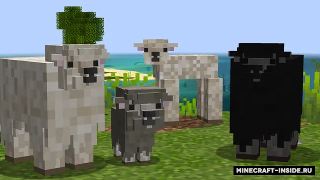 Better Sheep — Minecraft resurs pak, rasm 2