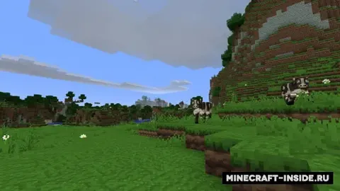 MiniDoku