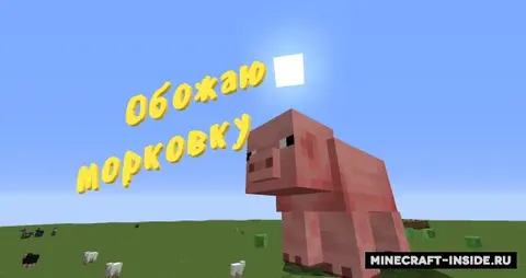 Gapiradigan moblar