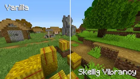 Skellig Vibrancy
