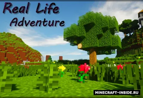 Real Life Adventure