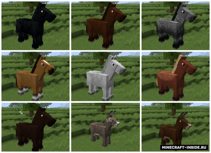 Old Horses — Minecraft resurs pak, rasm 2