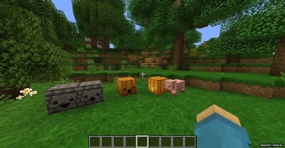 Atmo — Minecraft resurs pak, rasm 5