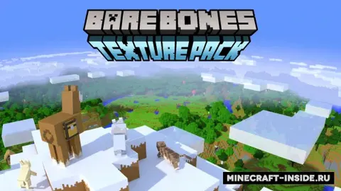 Bare Bones