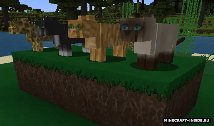 Ordinary Wonders — Minecraft resurs pak, rasm 7