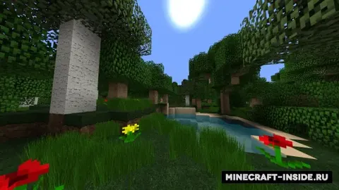 Simple 'N' Clean