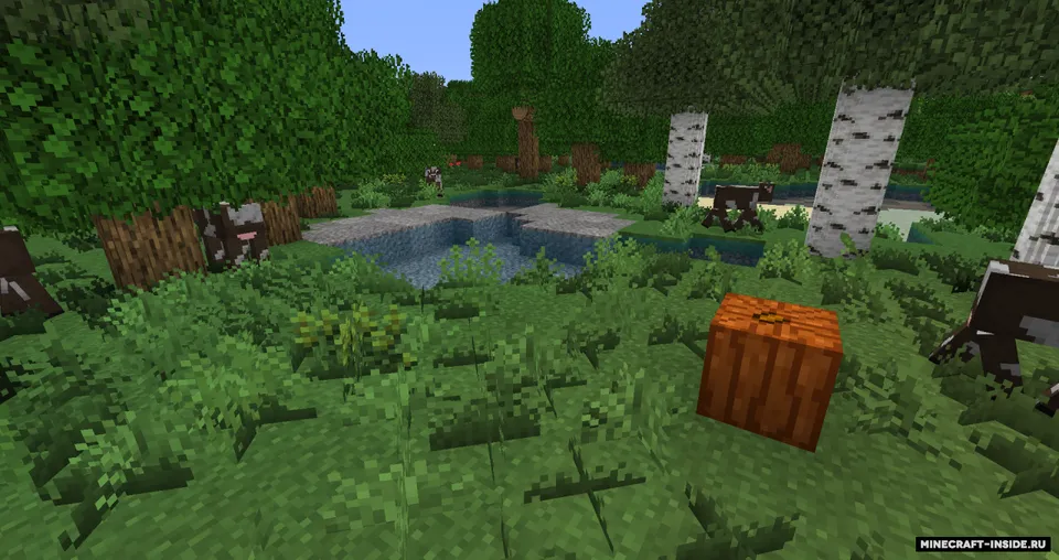 Vanillo — Minecraft resurs pak, rasm 5