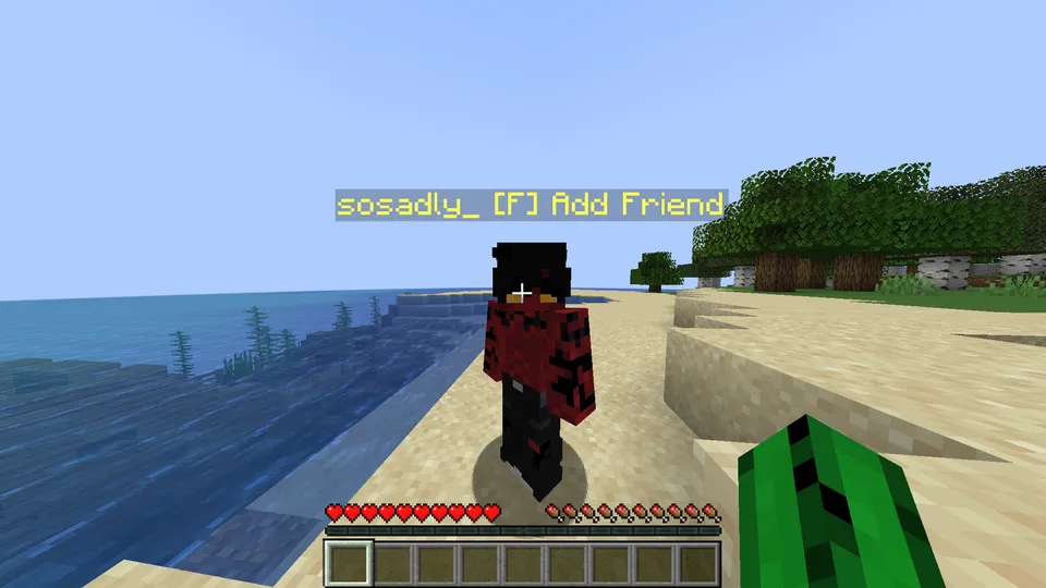 SFriends — Minecraft mod, rasm 3