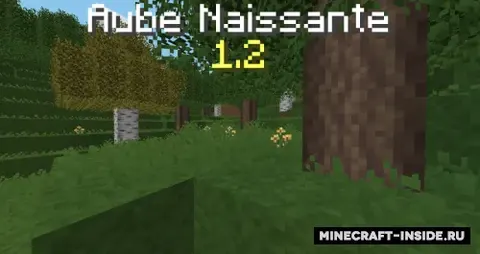 Aube Naissante