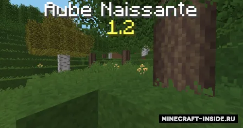 Aube Naissante — Minecraft resurs pak, rasm 1