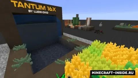 Tantum