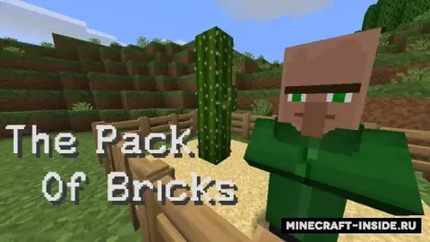 The Pack of Bricks
