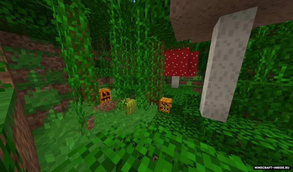 Pixel-8 — Minecraft resurs pak, rasm 3