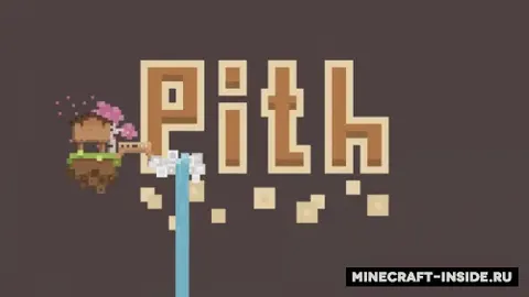 Pith