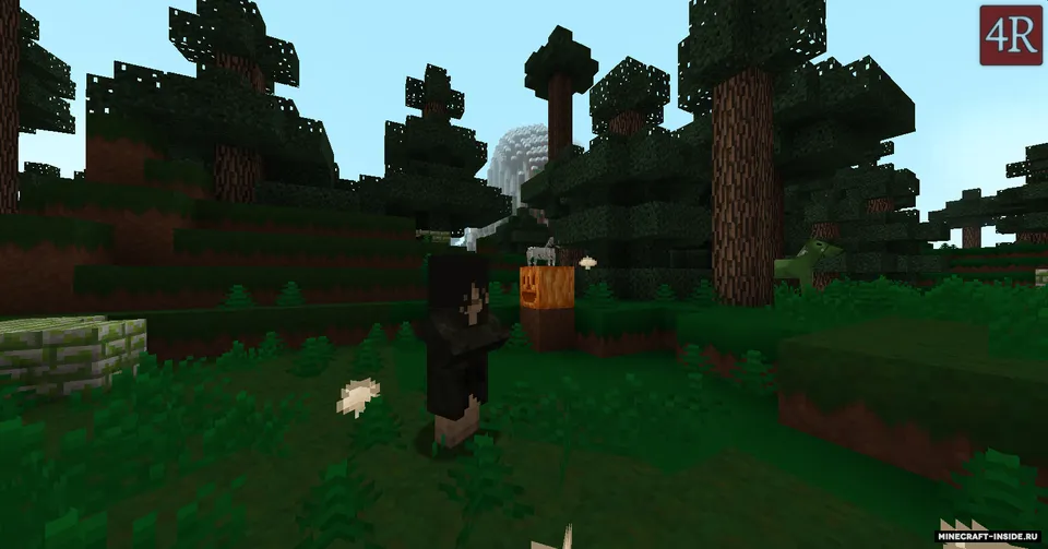 4R Craft — Minecraft resurs pak, rasm 7