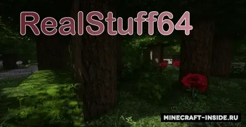 RealStuff64