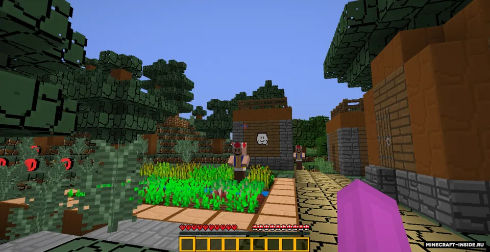 Super Mario — Minecraft resurs pak, rasm 5